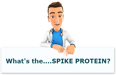 What's the SPIKE PROTEIN?